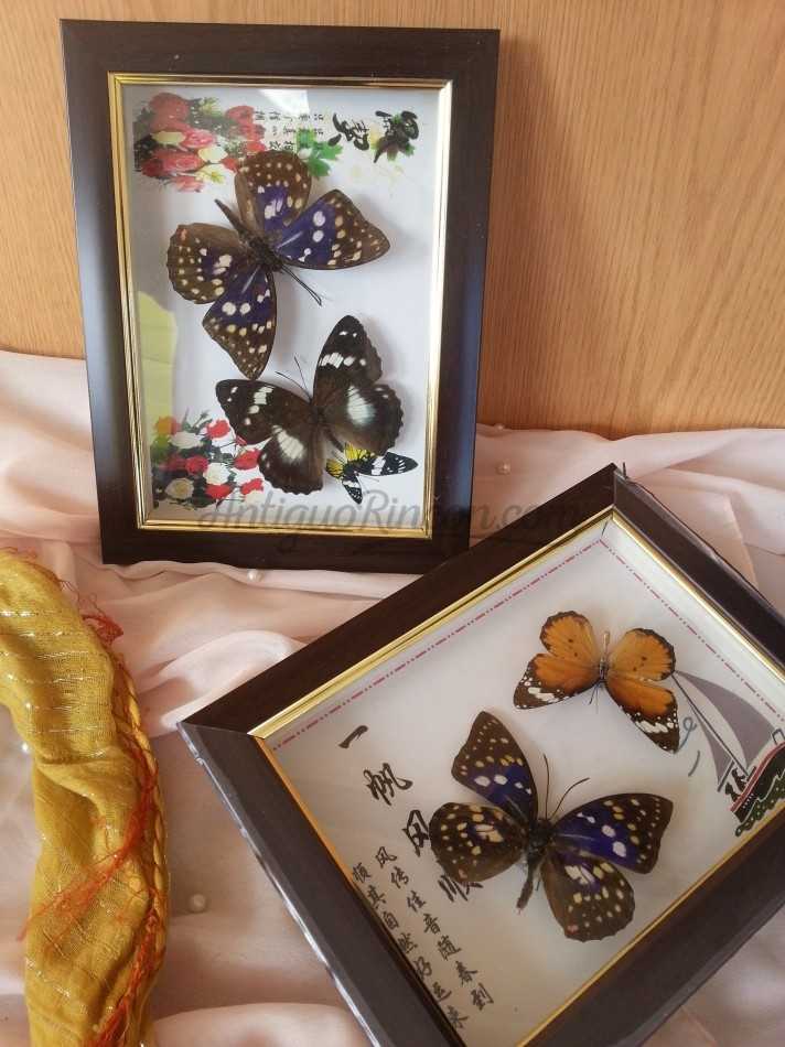 Mariposas. Pareja de enmarcaciones con decoración.