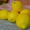 Limones. Imitación alimentos. Seis unidades.