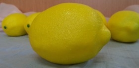 Limones. Imitación alimentos. Seis unidades.