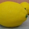 Limones. Imitación alimentos. Seis unidades.