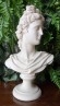 busto-proserpina